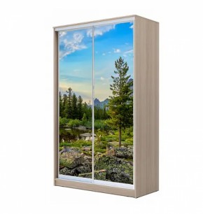 Шкаф-купе ХИТ 22-4-12/2-77 (420) в Белоярском (ХМАО) - beloiarskii.ok-mebel.com | фото 12