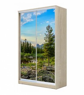 Шкаф-купе ХИТ 22-4-12/2-77 (420) в Белоярском (ХМАО) - beloiarskii.ok-mebel.com | фото 13