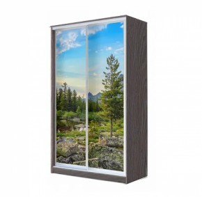 Шкаф-купе ХИТ 22-4-12/2-77 (420) в Белоярском (ХМАО) - beloiarskii.ok-mebel.com | фото 10