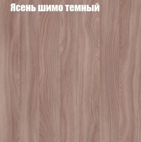 Шкаф-купе «ТАНДЕМ» 2-х дверный в алюминиевом профиле (Дверь ЛДСП+Z) 1200/h2200 в Белоярском (ХМАО) - beloiarskii.ok-mebel.com | фото 7