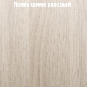 Шкаф-купе «ТАНДЕМ» 3-х дверный в алюминиевом профиле (Дверь ЛДСП+ЛДСП+Z) 2400/h2200 в Белоярском (ХМАО) - beloiarskii.ok-mebel.com | фото 5