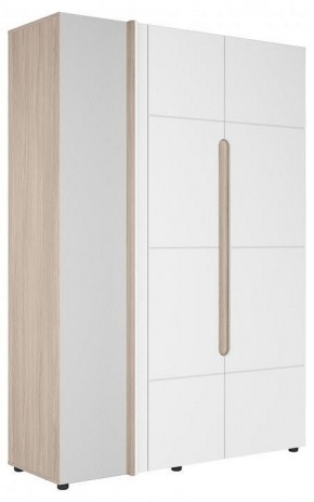 Шкаф платяной Данк в Белоярском (ХМАО) - beloiarskii.ok-mebel.com | фото