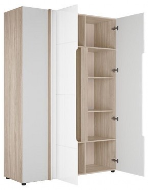 Шкаф платяной Данк в Белоярском (ХМАО) - beloiarskii.ok-mebel.com | фото 2