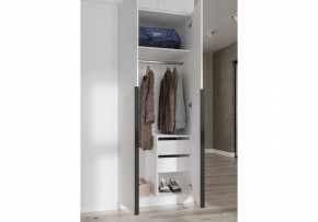 Шкаф платяной Широн в Белоярском (ХМАО) - beloiarskii.ok-mebel.com | фото 3