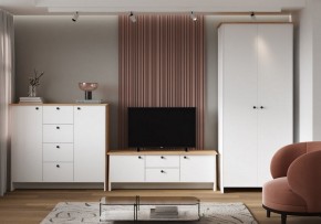 Шкаф платяной Теодора в Белоярском (ХМАО) - beloiarskii.ok-mebel.com | фото 4