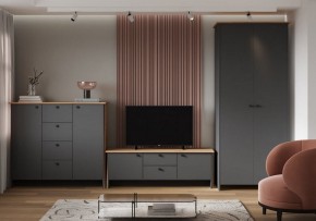Шкаф платяной Теодора в Белоярском (ХМАО) - beloiarskii.ok-mebel.com | фото 3