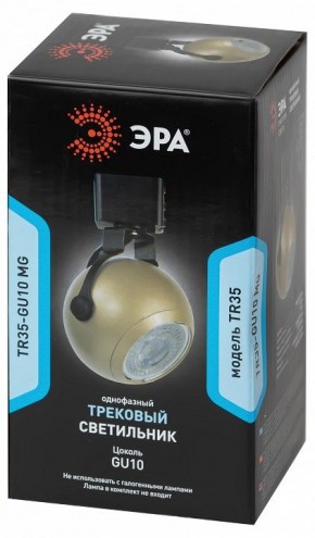 Светильник на штанге Эра  TR35-GU10 MG в Белоярском (ХМАО) - beloiarskii.ok-mebel.com | фото 4