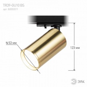 Светильник на штанге Эра  TR39-GU10 BS в Белоярском (ХМАО) - beloiarskii.ok-mebel.com | фото 6