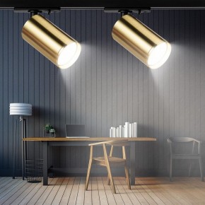 Светильник на штанге Эра  TR39-GU10 BS в Белоярском (ХМАО) - beloiarskii.ok-mebel.com | фото 7