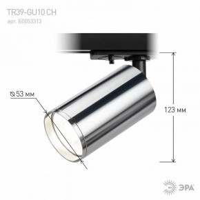 Светильник на штанге Эра  TR39-GU10 СН в Белоярском (ХМАО) - beloiarskii.ok-mebel.com | фото 7