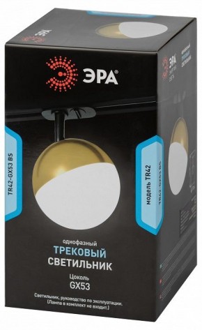 Светильник на штанге Эра  TR42-GX53 BS в Белоярском (ХМАО) - beloiarskii.ok-mebel.com | фото 6