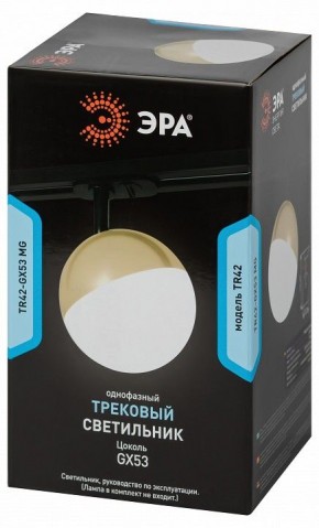 Светильник на штанге Эра  TR42-GX53 MG в Белоярском (ХМАО) - beloiarskii.ok-mebel.com | фото 6