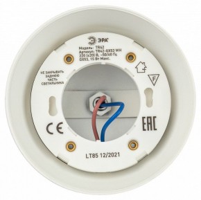 Светильник на штанге Эра  TR42-GX53 WH в Белоярском (ХМАО) - beloiarskii.ok-mebel.com | фото 5