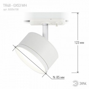 Светильник на штанге Эра  TR48 - GX53 WH в Белоярском (ХМАО) - beloiarskii.ok-mebel.com | фото 4