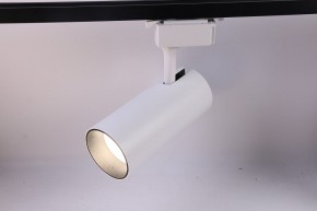 Светильник на штанге Эра  TR5-30 COB WH в Белоярском (ХМАО) - beloiarskii.ok-mebel.com | фото 2