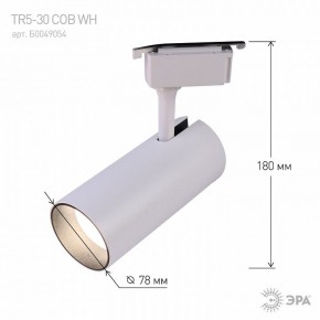 Светильник на штанге Эра  TR5-30 COB WH в Белоярском (ХМАО) - beloiarskii.ok-mebel.com | фото 6