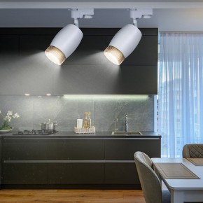 Светильник на штанге Эра  TR51 - GU10 WH в Белоярском (ХМАО) - beloiarskii.ok-mebel.com | фото 3
