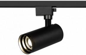 Светильник на штанге Эра  TR59 - 2040 BK в Белоярском (ХМАО) - beloiarskii.ok-mebel.com | фото 5