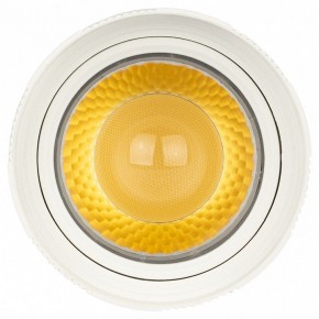 Светильник на штанге Эра  TR59 - 2040 WH в Белоярском (ХМАО) - beloiarskii.ok-mebel.com | фото 3