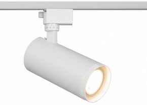 Светильник на штанге Эра  TR59 - 3030 WH в Белоярском (ХМАО) - beloiarskii.ok-mebel.com | фото