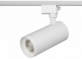Светильник на штанге Эра  TR59 - 3030 WH в Белоярском (ХМАО) - beloiarskii.ok-mebel.com | фото 2