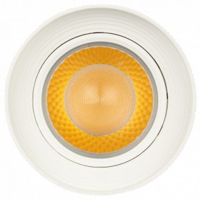 Светильник на штанге Эра  TR59 - 3030 WH в Белоярском (ХМАО) - beloiarskii.ok-mebel.com | фото 3