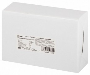 Светильник на штанге Эра  TRM-S5-3-12W4K-BK в Белоярском (ХМАО) - beloiarskii.ok-mebel.com | фото 8
