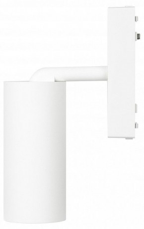 Светильник на штанге Эра  TRM-S5-3-12W4K-WH в Белоярском (ХМАО) - beloiarskii.ok-mebel.com | фото 5