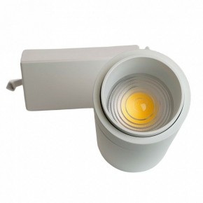 Светильник на штанге Feron AL137 51175 в Белоярском (ХМАО) - beloiarskii.ok-mebel.com | фото 9