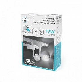 Светильник на штанге Gauss Track Light TR054 в Белоярском (ХМАО) - beloiarskii.ok-mebel.com | фото 5