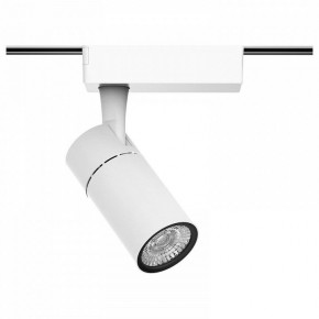 Светильник на штанге Gauss Track Light TR059 в Белоярском (ХМАО) - beloiarskii.ok-mebel.com | фото