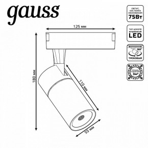 Светильник на штанге Gauss Track Light TR060 в Белоярском (ХМАО) - beloiarskii.ok-mebel.com | фото 5