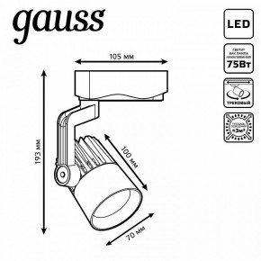 Светильник на штанге Gauss Track Light TR061 в Белоярском (ХМАО) - beloiarskii.ok-mebel.com | фото 6