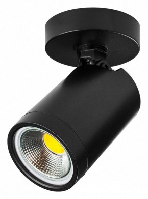 Светильник на штанге Lightstar Rullo 213407 в Белоярском (ХМАО) - beloiarskii.ok-mebel.com | фото