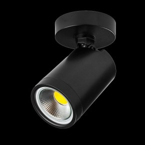Светильник на штанге Lightstar Rullo 213407 в Белоярском (ХМАО) - beloiarskii.ok-mebel.com | фото 2
