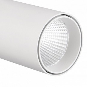 Светильник на штанге Mantra Fuji 7203 в Белоярском (ХМАО) - beloiarskii.ok-mebel.com | фото 4