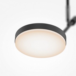 Светильник на штанге Maytoni Fad MOD070CL-L8B3K в Белоярском (ХМАО) - beloiarskii.ok-mebel.com | фото 4