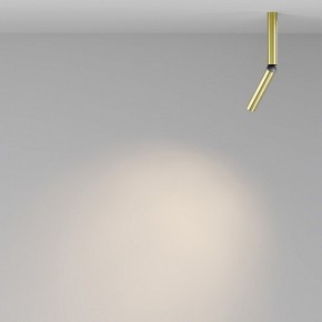 Светильник на штанге Maytoni Focus T C142CL-6W3K-BS в Белоярском (ХМАО) - beloiarskii.ok-mebel.com | фото 4