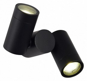 Светильник на штанге ST-Luce Ecollo SL9011.402.02 в Белоярском (ХМАО) - beloiarskii.ok-mebel.com | фото 2