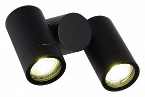 Светильник на штанге ST-Luce Ecollo SL9011.402.02 в Белоярском (ХМАО) - beloiarskii.ok-mebel.com | фото 3