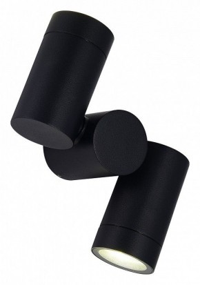 Светильник на штанге ST-Luce Ecollo SL9011.402.02 в Белоярском (ХМАО) - beloiarskii.ok-mebel.com | фото 4