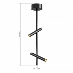 Светильник на штанге ST-Luce LILT SL6210.403.02 в Белоярском (ХМАО) - beloiarskii.ok-mebel.com | фото 3
