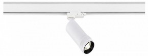 Светильник на штанге ST-Luce ST691 ST691.536.10 в Белоярском (ХМАО) - beloiarskii.ok-mebel.com | фото