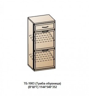 ТБ-1003 (Тумба-обувница) в Белоярском (ХМАО) - beloiarskii.ok-mebel.com | фото