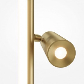 Торшер Maytoni Thin MOD395FL-L28BS3K в Белоярском (ХМАО) - beloiarskii.ok-mebel.com | фото 5