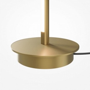 Торшер Maytoni Thin MOD395FL-L28BS3K в Белоярском (ХМАО) - beloiarskii.ok-mebel.com | фото 7