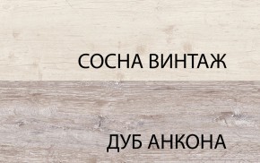 Тумба RTV 1D2SN, MONAKO, цвет Сосна винтаж/дуб анкона в Белоярском (ХМАО) - beloiarskii.ok-mebel.com | фото 3