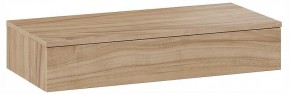 Тумбочка навесная ТД-102.08.02 в Белоярском (ХМАО) - beloiarskii.ok-mebel.com | фото 3